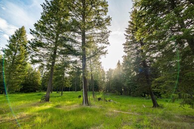 4867 Foothill Rd, Bigfork, MT 59911 - photo 4