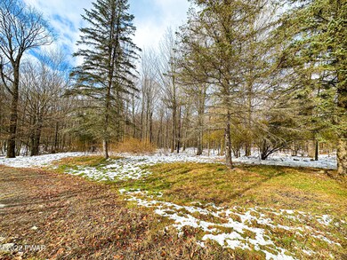 1709 Hamlin Hwy, Lake Ariel, PA 18436 - photo 6