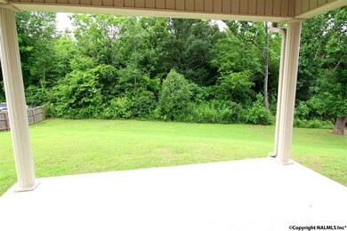 THE VIEW FROM THE BACK PATIO!