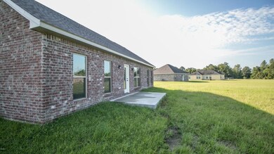 23 Berry Ln, Picayune, MS 39466 - photo 4
