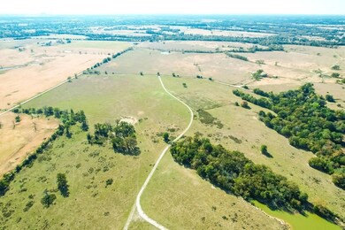 County Road 781, Donie, TX 75838 - photo 6