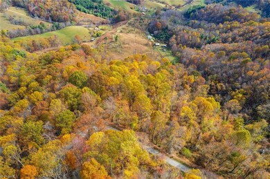 TBD 1 Mayito Ln, Mouth of Wilson, VA 24363 - photo 5