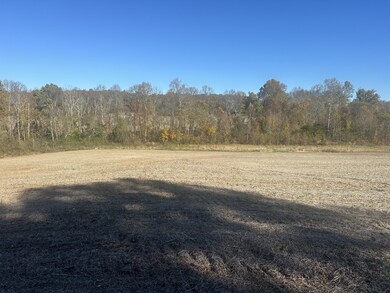 0 Old Kentucky Rd, Sparta, TN 38583 - photo 7