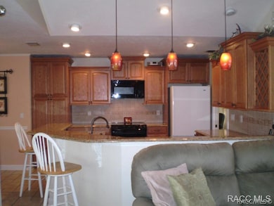 1261 N Man o War Dr, Hernando, FL 34442 - photo 6