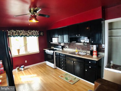 926 Leeds Ave, Baltimore, MD 21229 - photo 5