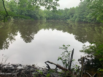 0 37th St, Meridian, MS 39305 - photo 2