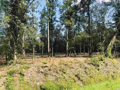 TBD Tract B S Carolina 19, Loris, SC 29569 - photo 6
