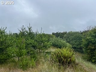 806 318 Place, Ocean Park, WA 98640 - photo 4