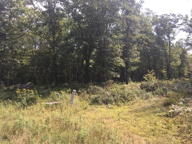 125 Springwood Dr, Hawley, PA 18428 - photo 7