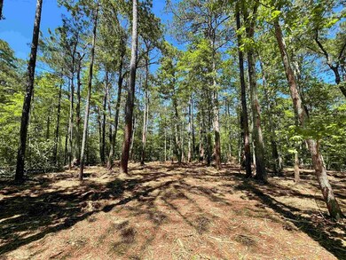 237 Senita Dr, Sam Rayburn, TX 75931 - photo 6