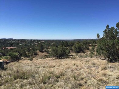 21 Antelope Run, Silver City, NM 88061 - photo 6