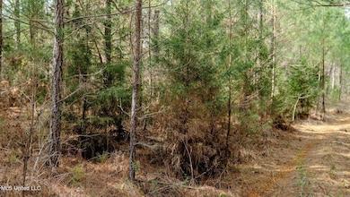 0000 Elijah Graham Rd, Noxapater, MS 39346 - photo 6