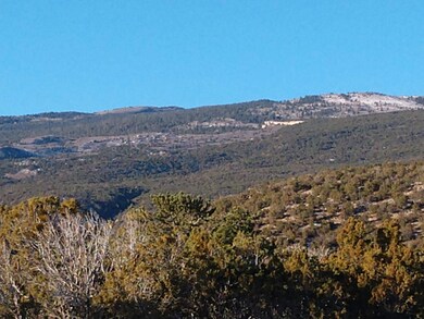 Tract A-1 Cerrito Rojo, Placitas, NM 87043 - photo 6