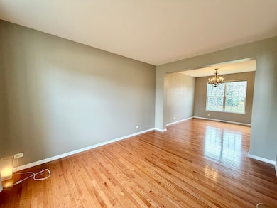 138 Redmond Dr, Gilberts, IL 60136 - photo 3