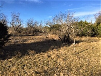 L7BA Floyd Ct, Weatherford, TX 76087 - photo 4