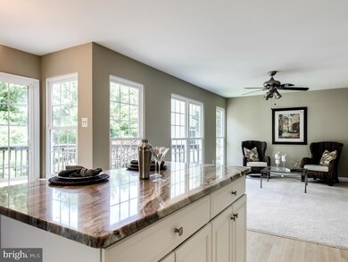 9516 Meadows Farms Dr, Owings Mills, MD 21117 - photo 5