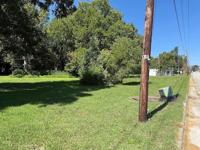 314 S Ash St, Spring Hope, NC 27882 - photo 5