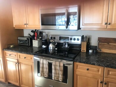 368 E Lupine Dr, Aspen, CO 81611 - photo 6