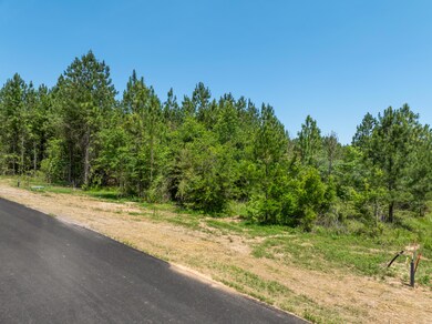 Lot #82 Red Wiggler Way, Lumberton, MS 39455 - photo 7