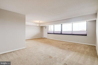 Skyline House unit 1104, Baileys Crossroads, VA 22041 - photo 5