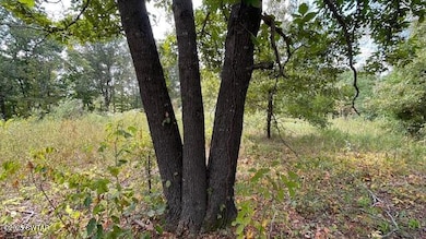 00 Graves Ln, Trenton, TN 38382 - photo 5