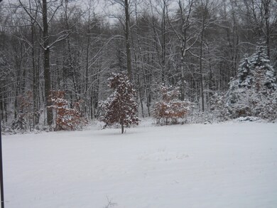 View out the Sliders