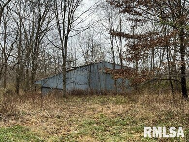 703 Buchanan Rd, Iuka, IL 62849 - photo 2