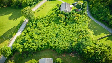 408 Cedar Branch Rd, Kingsport, TN 37664 - photo 7