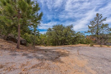 Your own private forest