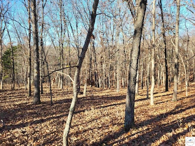 0 Wolcott Cir unit Lot 3823,3824 & 391, Union Township, MO 65326 - photo 5