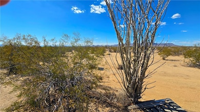 3135 W Desert Candle, Yucca, AZ 86438 - photo 3