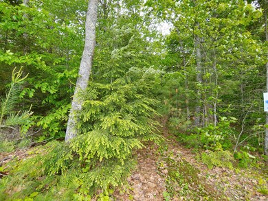 20190613_132029_HDR