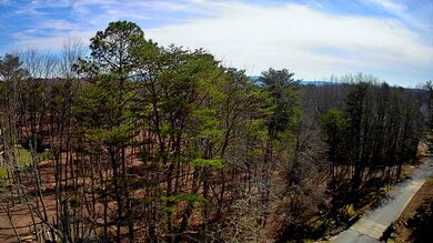 IMG_20250223_1300016