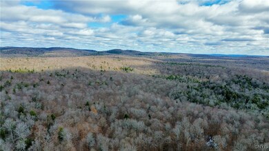 Lot 3 Jerseyfield Rd, Little Falls, NY 13365 - photo 6