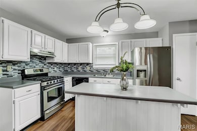 3 Sunny Hill Blvd, Saint Peters, MO 63376 - photo 5