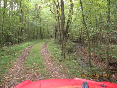 1 Greenfield Rd, Prospect, TN 38477 - photo 5