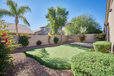 Backyard2