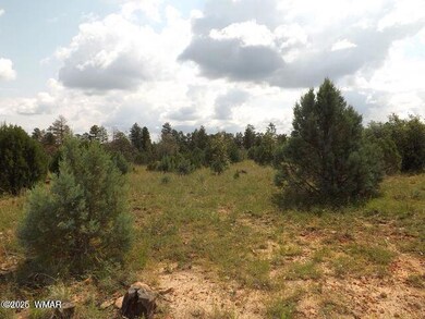 2697 Lost Way, Overgaard, AZ 85933 - photo 4