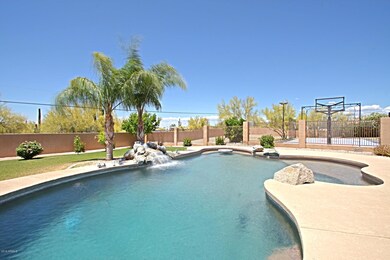 Backyard 3