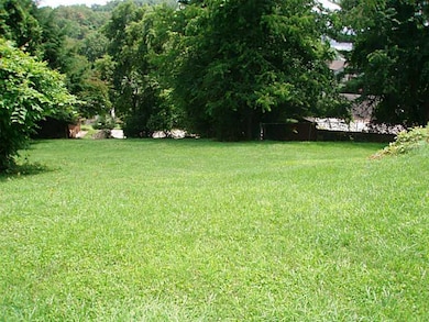 Yard/Garden.