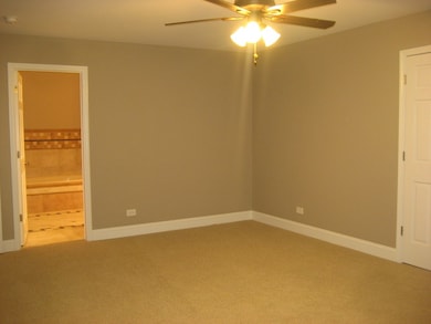 4723 Snapjack Cir, Naperville, IL 60564 - photo 6