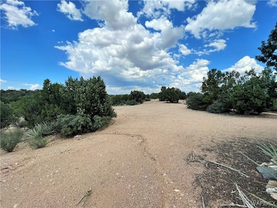 2336 S Rease Rd, Kingman, AZ 86401 - photo 2