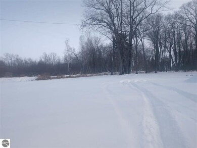 3801 E Booth Rd, Au Gres Township, MI 48703 - photo 7