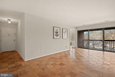 11301 Commonwealth Dr unit 201, Rockville, MD 20852 - photo 5