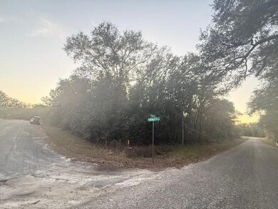 684 E Noah Ln, Citrus Springs, FL 34434 - photo 4