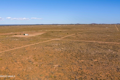 96 W Concho Rd, Valle, AZ 86046 - photo 4