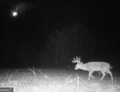 1075 Davis Rd, Carrollton, GA 30116 - photo 7