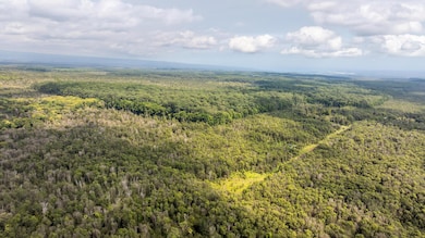 18-1854 Kuahiwi Rd, Mountain View, HI 96771 - photo 7