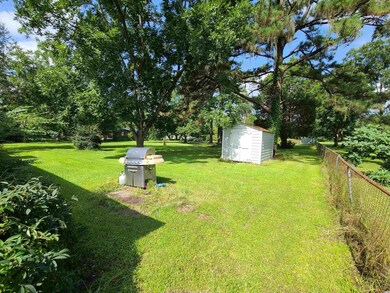 Back yard