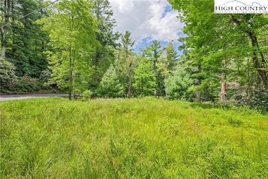 Lots 127, 128, 129 Cone Rd, Blowing Rock, NC 28605 - photo 4